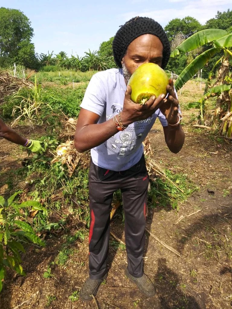 95C484B1-DD28-49E2-887B-57C72A3B36F3 95C484B1-DD28-49E2-887B-57C72A3B36F3