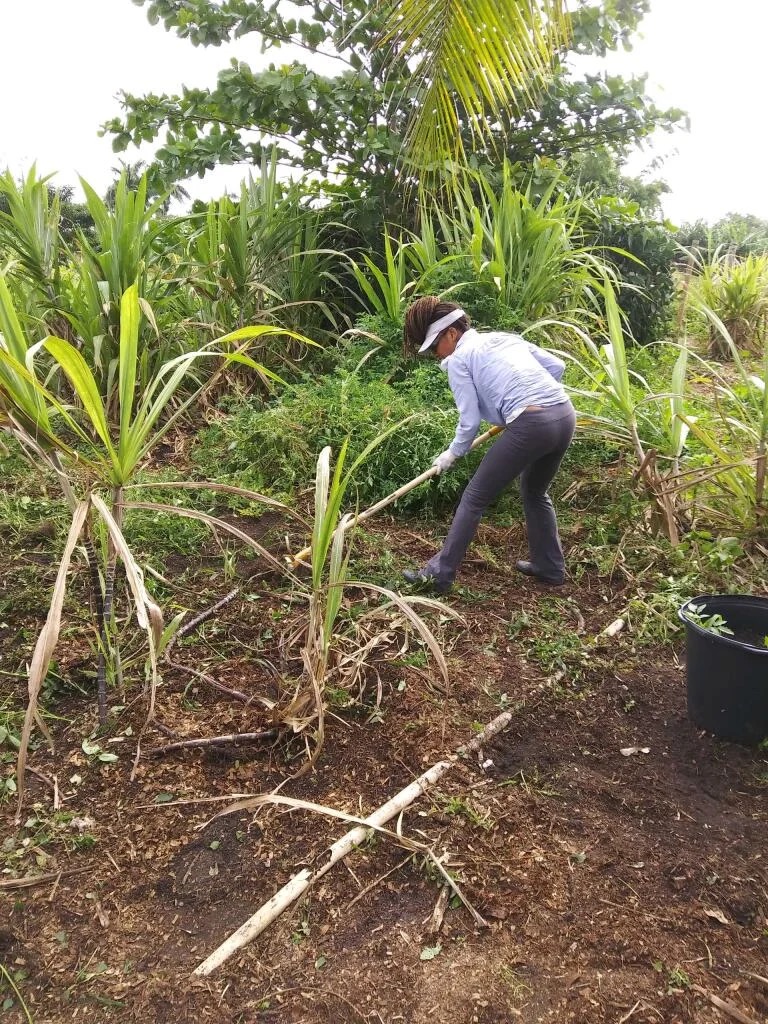 C01E4975-DCE7-4008-8A1F-28470DDB7093 C01E4975-DCE7-4008-8A1F-28470DDB7093